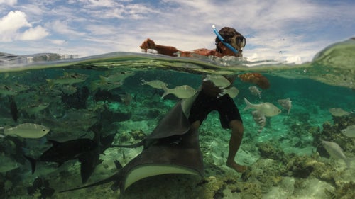 In French Polynesia, Healey met Wilfred, a local who’s built a relationship with the local wild stingrays, and captured these shots on his GoPro.
French Polynesia is home to Teahupo’o, one of the gnarliest waves on earth—a roaring, enormous barrel that breaks over mere feet of rocky reef. Healey rides it as well as anyone on earth, but here’s what it looks like when things go wrong.