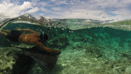 Healey took this photo of Wilfred catching a ride on one of his Stingray friends. 鈥淗e doesn鈥檛 even bother to wear fins to get around, as he can always rely on one of the Stingrays to give him a lift in exchange for a half sardine,鈥 Healey says. 鈥淯ber Mo鈥檕rea style.鈥 Healey has been coming to Tahiti and French Polynesia for the surf for over 20 years, he says.