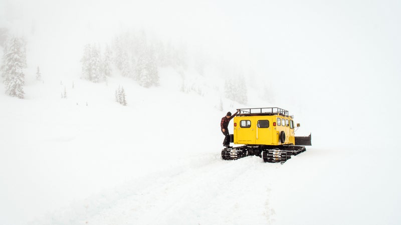 Making cat tracks.