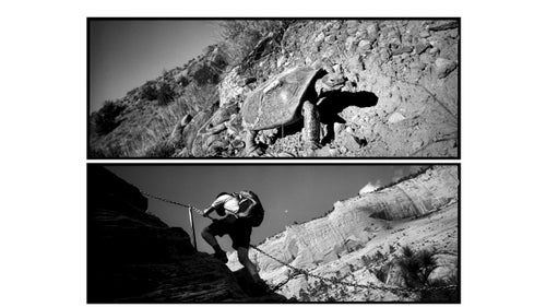 Above: A threatened desert tortoise scrambles up a hillside having evolved and adapted to this harsh terrain. Below: A hiker climbs up the treacherous ledge trail to Angel's Landing with the assistance of steel chains.