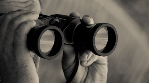 A quality set of binoculars won't just allow you to magnify far away objects, they'll create a brighter, more stable, clearer image, too.