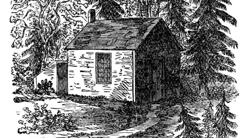 The original illustration printed on Walden's cover. 