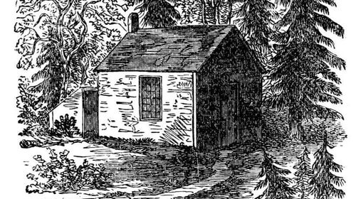 The original illustration printed on Walden's cover.