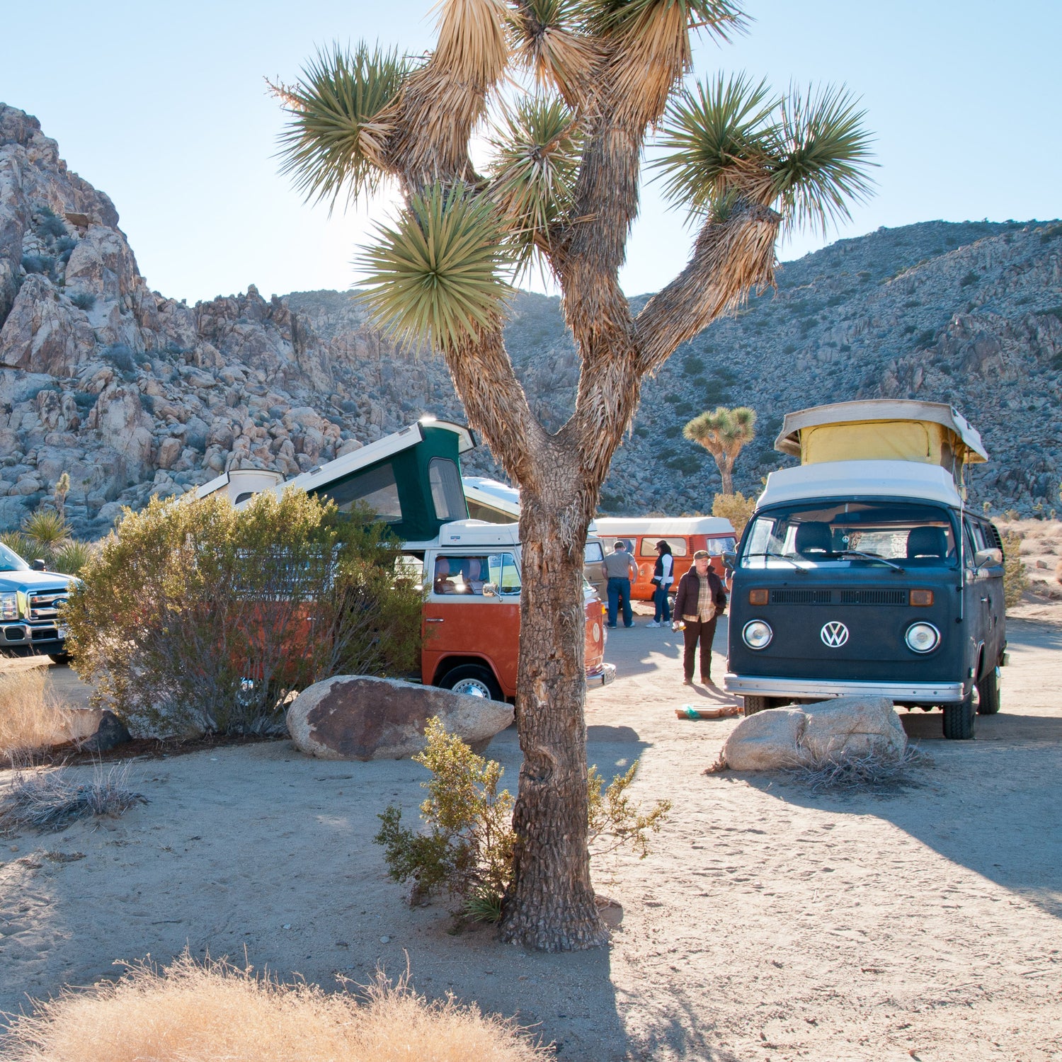 Where to Rent a Campervan for Your Next Road Trip