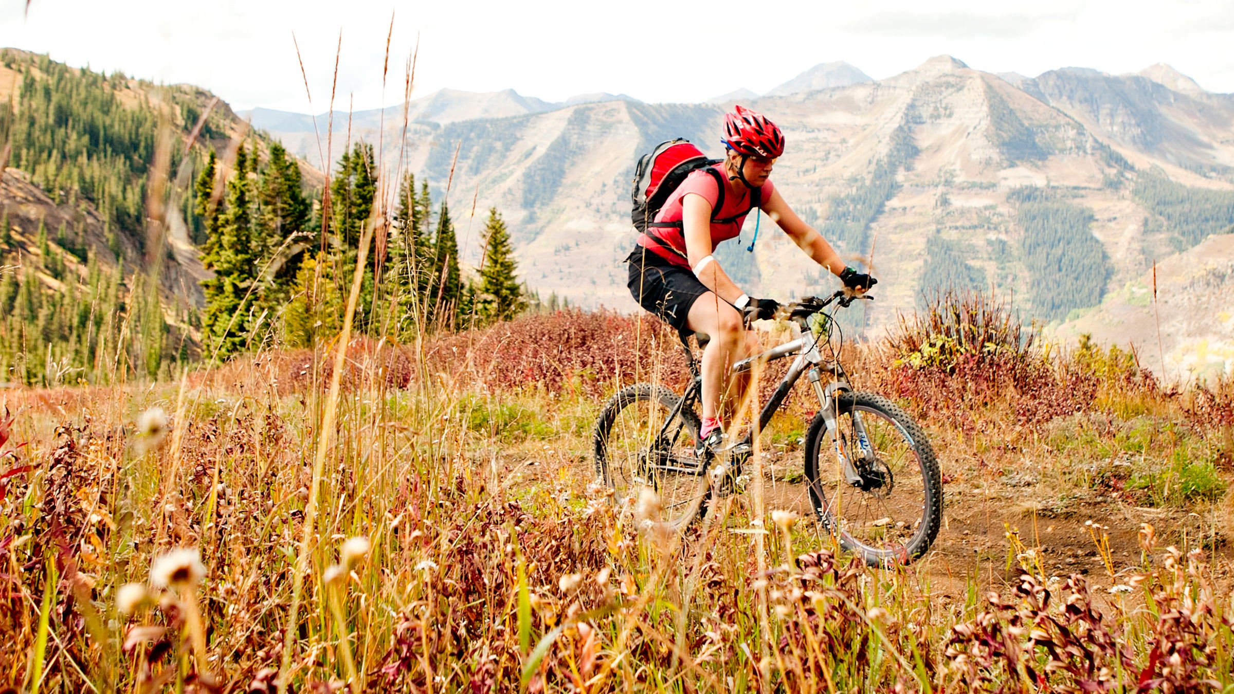 El Niño rains can bring on even more spectacular wildflowers than usual.