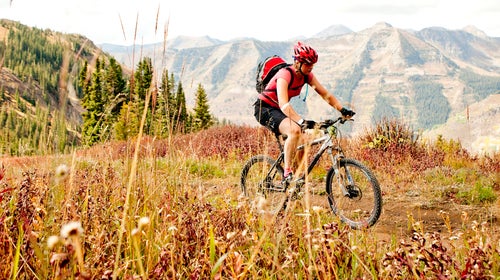 El Niño rains can bring on even more spectacular wildflowers than usual.