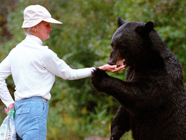 Before her death, Grayson was friendly with nearly 20 local bears and could even feed them by hand.