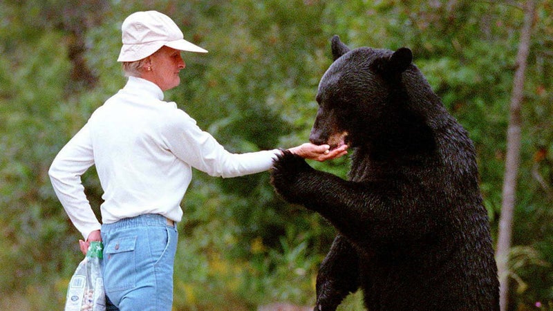 Before her death, Grayson was friendly with nearly 20 local bears and could even feed them by hand.