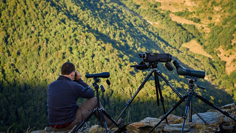 Binoculars and spotting scopes are essential for spotting wildlife. Learn more about them here.