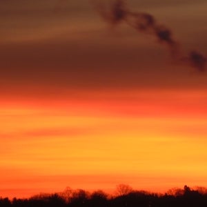 Groups of young people around the world are evoking constitutional arguments to change climate policy.