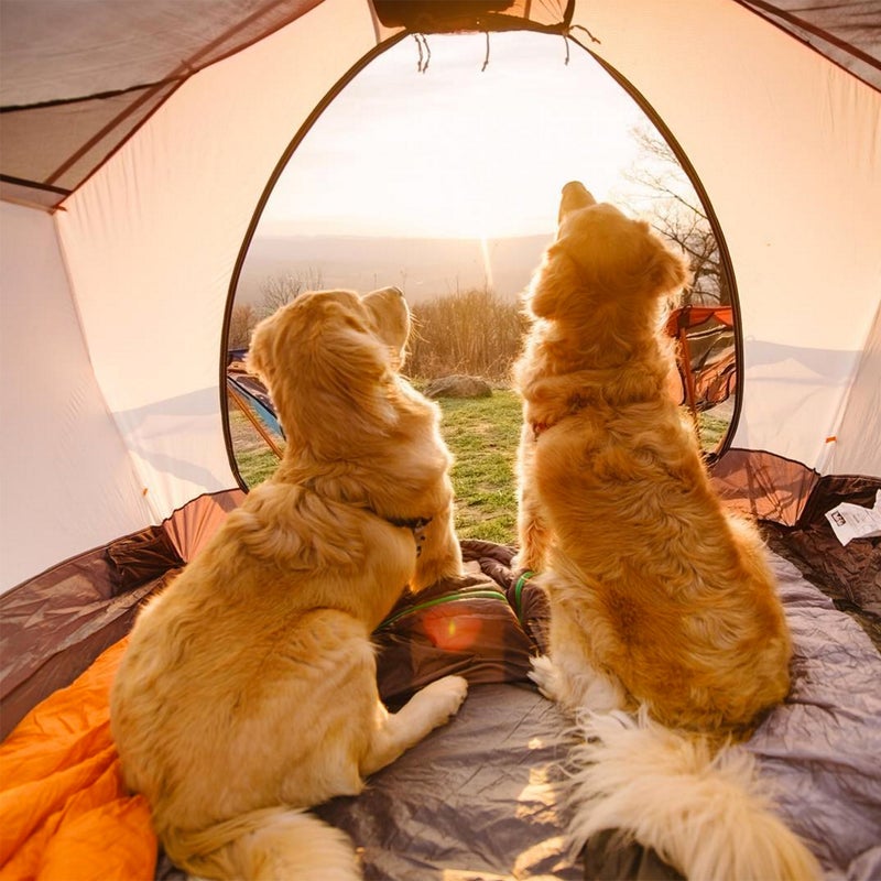 @Samanthabrookephoto: My sunset view. #campingwithdogs