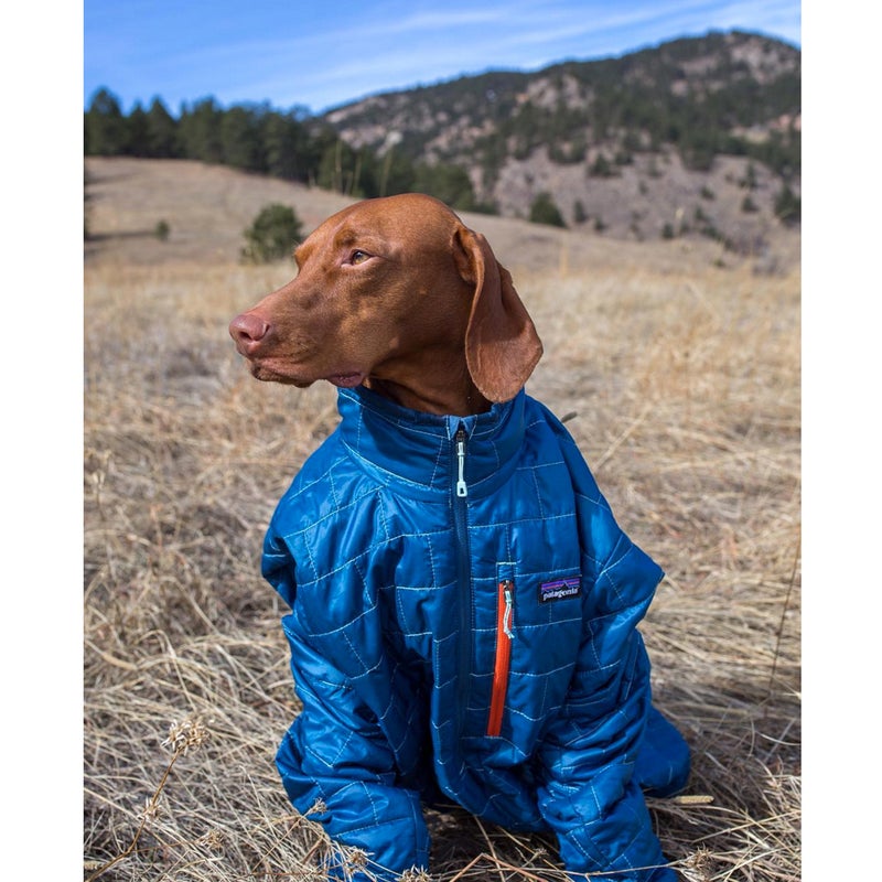 @Campbellview: When you're tired after a long day of hiking and it's cold but dad forgot your jacket...