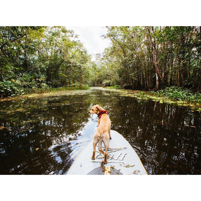 @Thesaltynut: This is my favorite way to explore when we drop our anchor in these wild places. I am on crocodile watch as we wander through the labyrinth of waterways here in Cayo Quemado Guatemala.