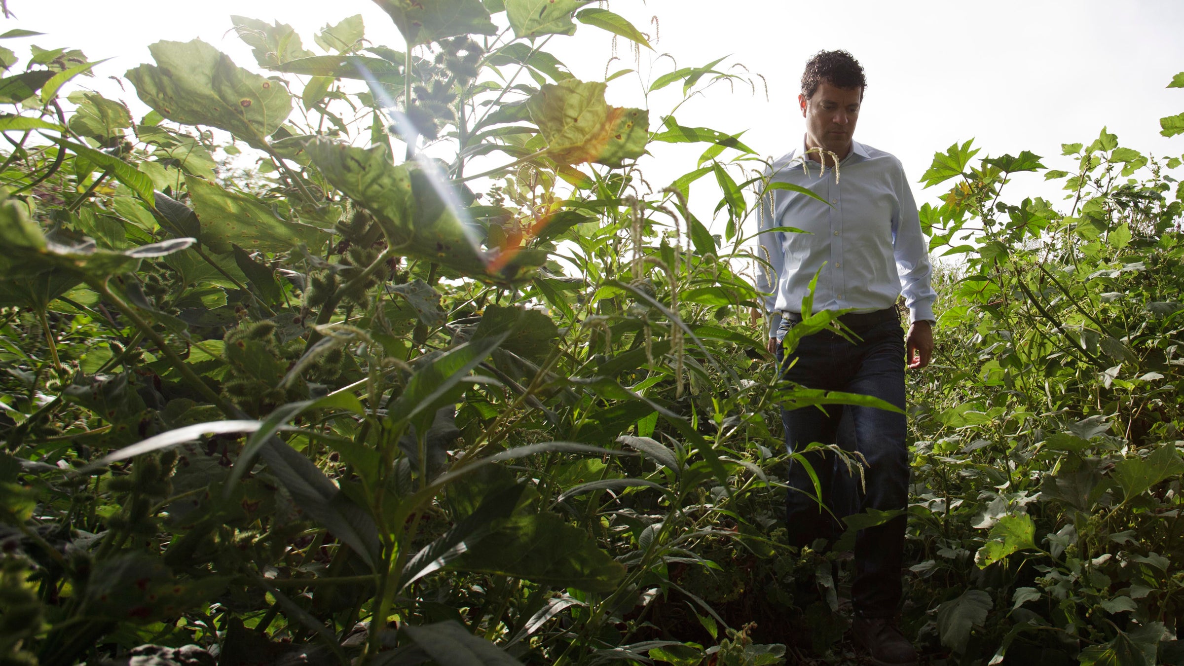 Make the PCT your exit strategy.