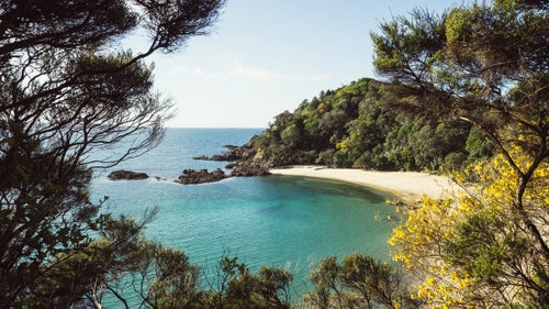 This hidden beach is on the North Island, north of Auckland. Most tourists drive straight to Cape Reinga, the northernmost point of the country, without pausing at Whale Bay. But Lolos asked his Instagram followers for beach recommendations, and the locals told him to visit this beach. Because it was in September, early spring in New Zealand, he had the area to himself. 鈥淵ou鈥檇 drive past it if you didn鈥檛 know what you were looking for,鈥 says Lolos.