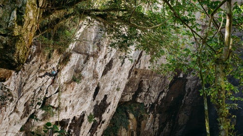Ben Alford begins his 480-foot descent into Hoya De Gua Guas, a 735-foot-wide sinkhole. What Ben does not realize until he begins his ascent is that he just passed by a large bee’s nest. We all had bees crawling all over us as we reached the surface of the pit.