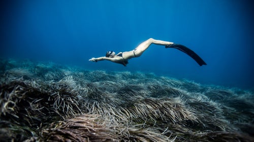 Christina glides above the swaying seabed of Posidonia Oceanica, a seagrass endemic to the Mediterranean Sea. The largest colony is found off the south of Ibiza measuring five miles in length and estimated to be around 100,000 years old.