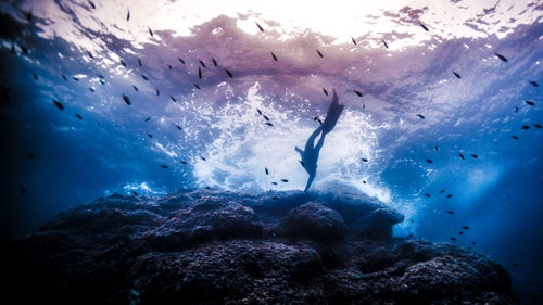 Although the shallows of the Mediterranean are mostly devoid of large marine life, the underwater rocky landscapes and playful light are wonderful for photographs.