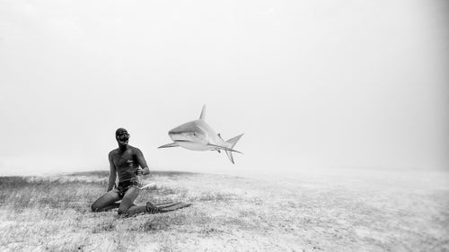The husband and wife duo of Eusebio and Christina Saenz de Santamaria have set freediving records all over the world. Eusebio is one of few men to have reached below 100 meters under his own power, and Christina recorded the deepest self-powered dive of any Australian woman at 85 meters. Possibly more impressive than their diving skills is the pair鈥檚 photography, which they鈥檝e made into a business under One Ocean One Breath. Based in Koh Tao, Thailand, the couple captures dazzling underwater scenes as they train and dive in some of the world鈥檚 most vibrant oceans. Here, the couple tells us about a few of their favorite shots.
Photo: One of our favorite images of all time is of Eusebio kneeling on the grassy sea floor as a Caribbean reef shark cruises by. The crystal clear waters of the Caribbean allow for this type of creative black and white photography, which we like to use as a way to express the surreal and magical world we experience鈥攁n otherworld where sharks can fly.