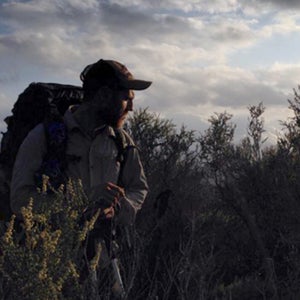 Looking for camp.