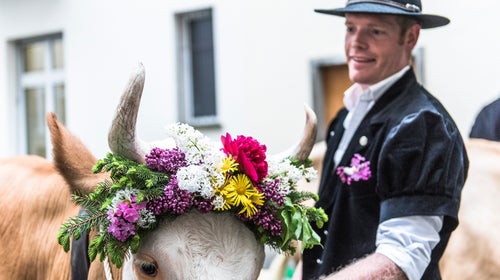 Lucas Bach comes from three generations of ski guide-cheese farmer hybrids.