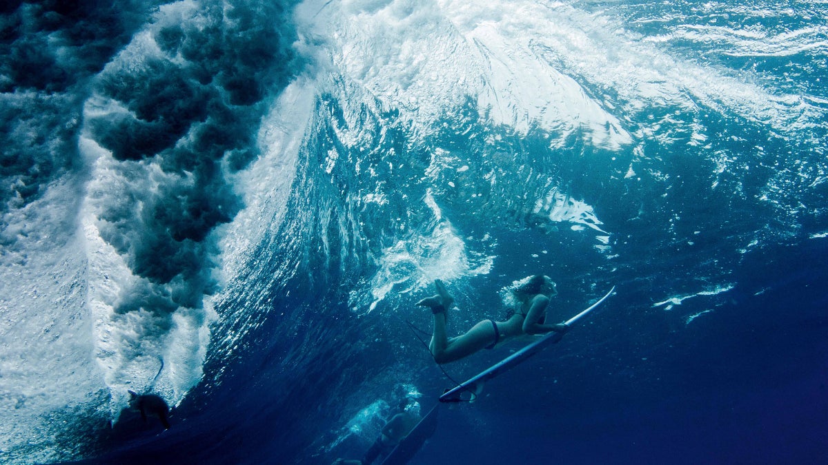 The Secret Worlds and Subcultures of Surfing