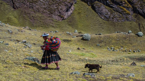 On the trail, you are sure to run into a few locals and roaming llama and alpaca are a constant part of any view.