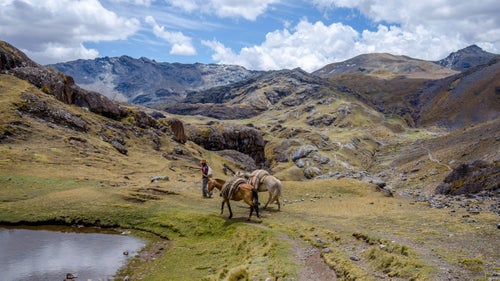 Pack horses are allowed and usually carry things like extra chairs, tents, and food. Expect healthy portions of fried platanos, granola, coffee, and fresh fruit.
