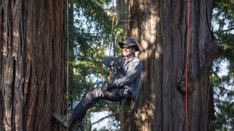 Tim Kovar is the founder and owner of Tree Climbing Planet, which runs recreational courses on a 150-acre forested farm near Portland, Oregon.