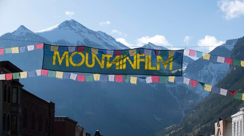 Our recommendations for this year's promising lineup.