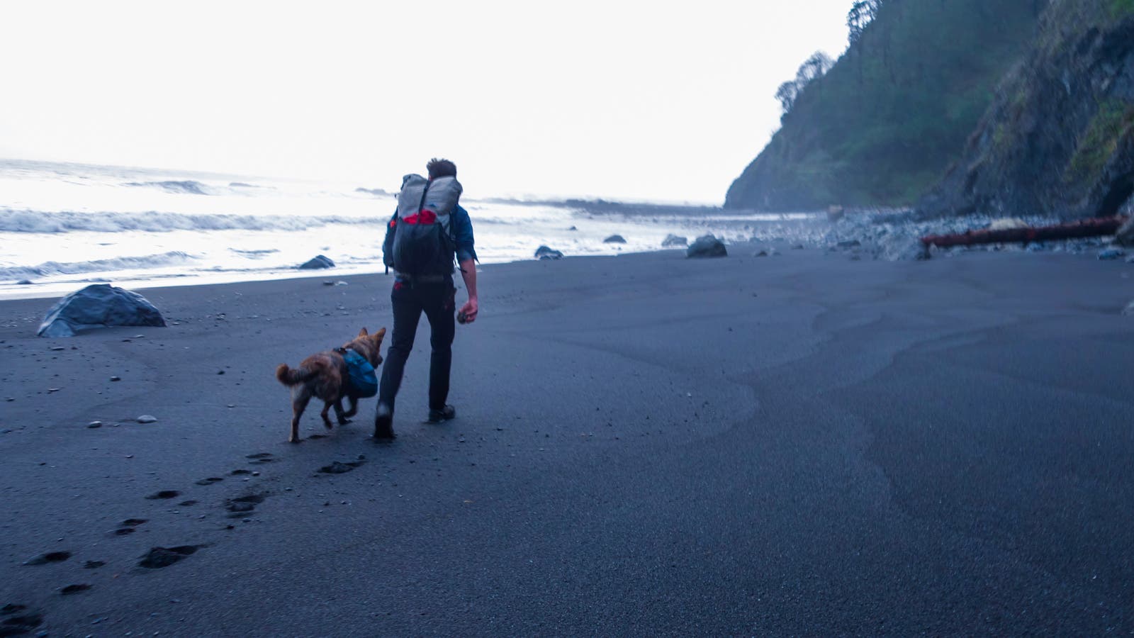 a man and his dog walking off-leash on a beach