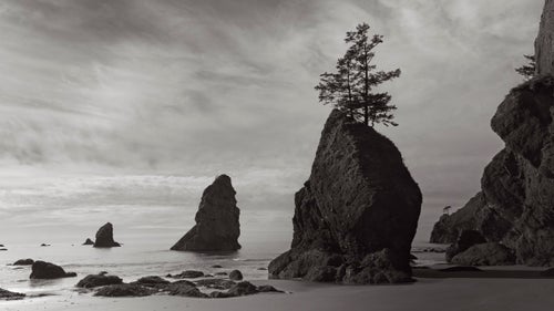 Charleston-based photographer Drew Doggett鈥檚 recent project, Shadow鈥檚 Alight; Portraits of the American West, is the result of 14,000 miles traveled in a 23-foot airstream, visiting 21 national parks. Doggett has spent much his career photographing foreign places and people whose communities are in imminent danger due to development and a lack of conservation efforts. But he wanted to turn his lens toward his own country. In celebration of 100 years of our National Park Service, Doggett set out to capture some of America鈥檚 most classic scenes to see how they鈥檝e changed, how they鈥檝e stayed the same, and ultimately why they鈥檙e worth protecting. Here, Doggett shares a few favorites from his recent project. Photo: This image was taken on the furthest part of Shi Shi beach, Washington, one of the most northwestern points in the United States. A several hour hike from the nearest road, this beach is one of the most secluded in the U.S., lending a real feeling of nature at its most untouched.
