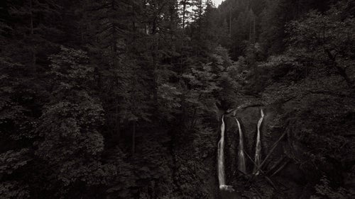Triple Falls in Columbia River Gorge is surrounded by intricate patterns and textures of the untouched forest on all sides, and this dramatic clearing frames the three streams of Triple Falls.