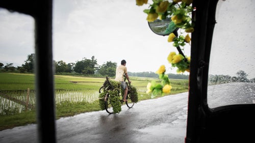 Banana delivery in the Indian state of Assam. We came across many workers carrying their produce to the local wholesale markets. At the market, there are loads of people in line to sell their bananas to big buyers who then load them into trucks. Rain is not a deterrent.