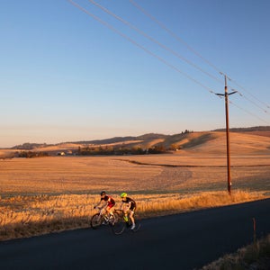 Yes, some road kit as actually affordable.