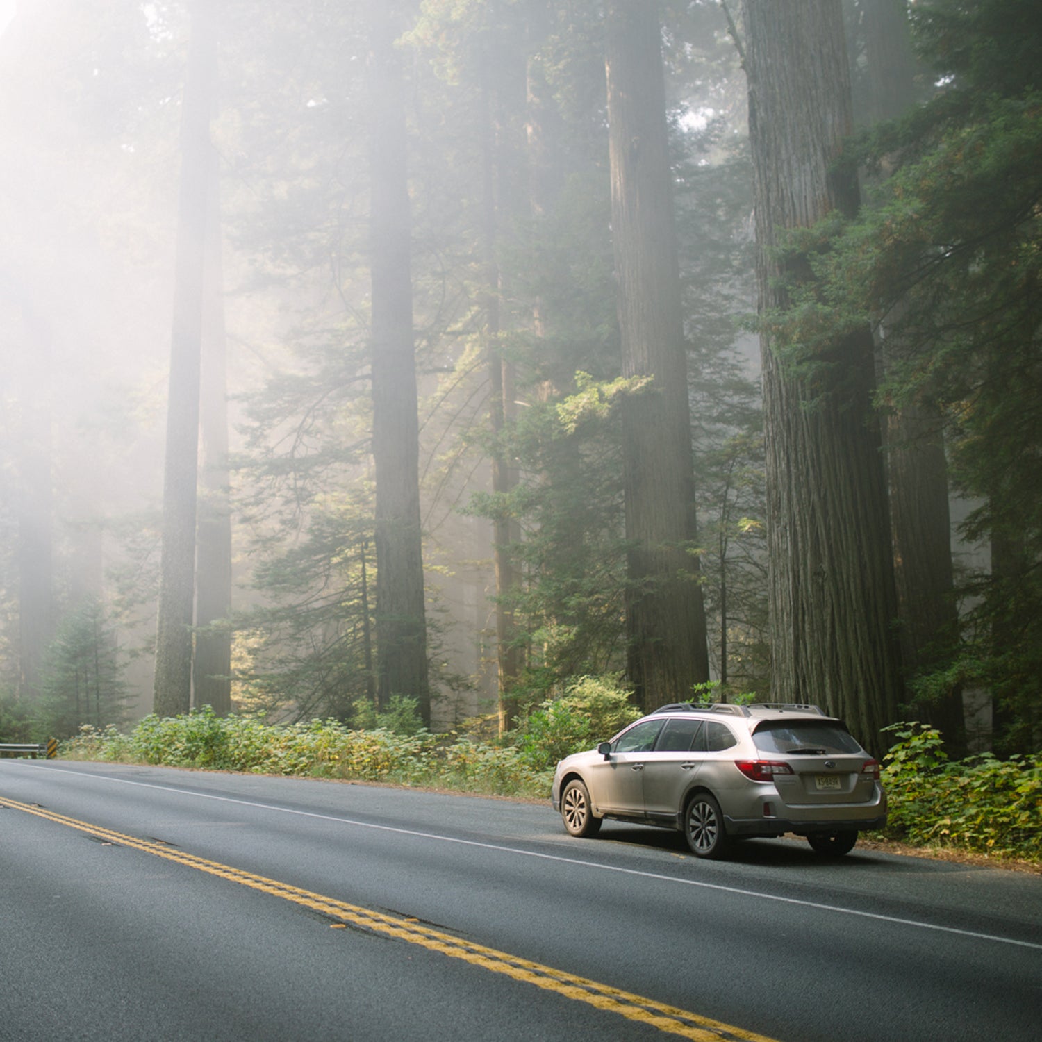 Subaru is helping the national parks keep waste out of landfills.