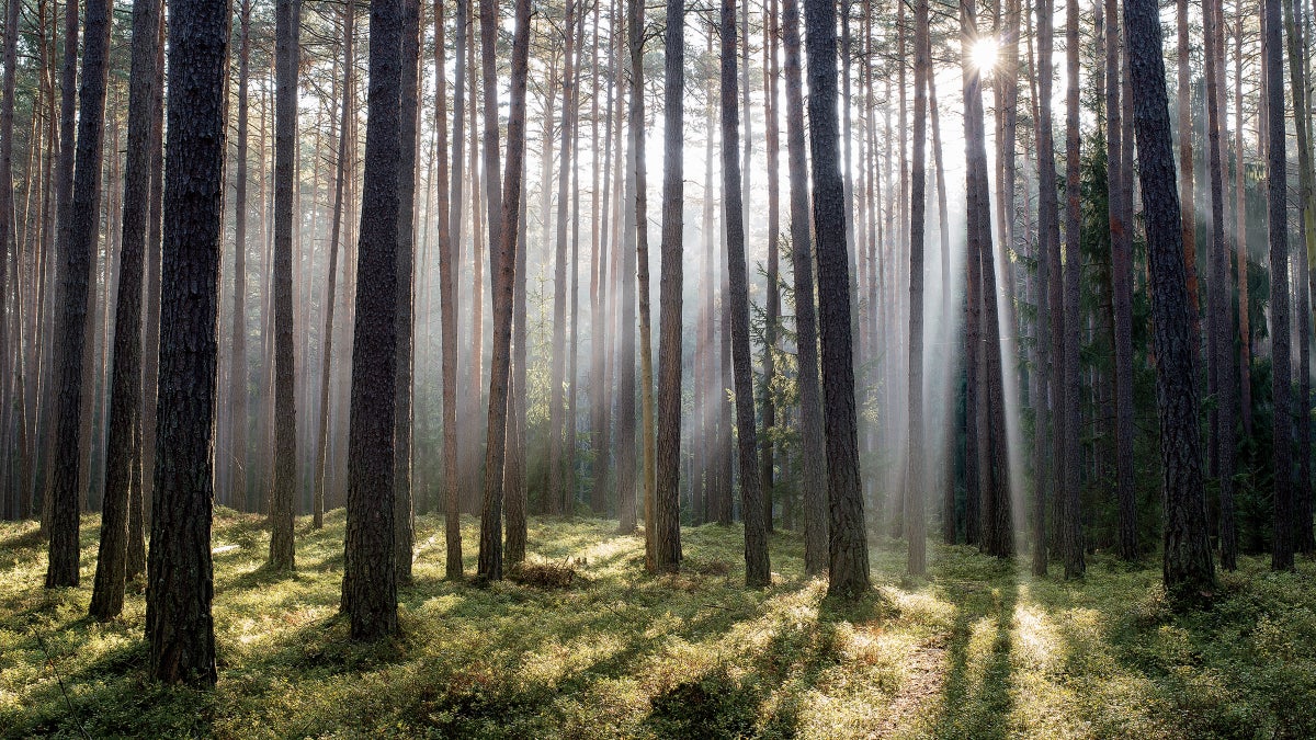 National Parks Don't Need Your Misty-Eyed Reverence