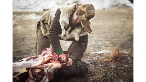 Alex scavenges a hide from a buffalo carcass. Buffalo Bridge members pride themselves on sharing knowledge associated with the process of tanning hides. Several tribal members have shared their knowledge of tanning with Buffalo Bridge as well.
