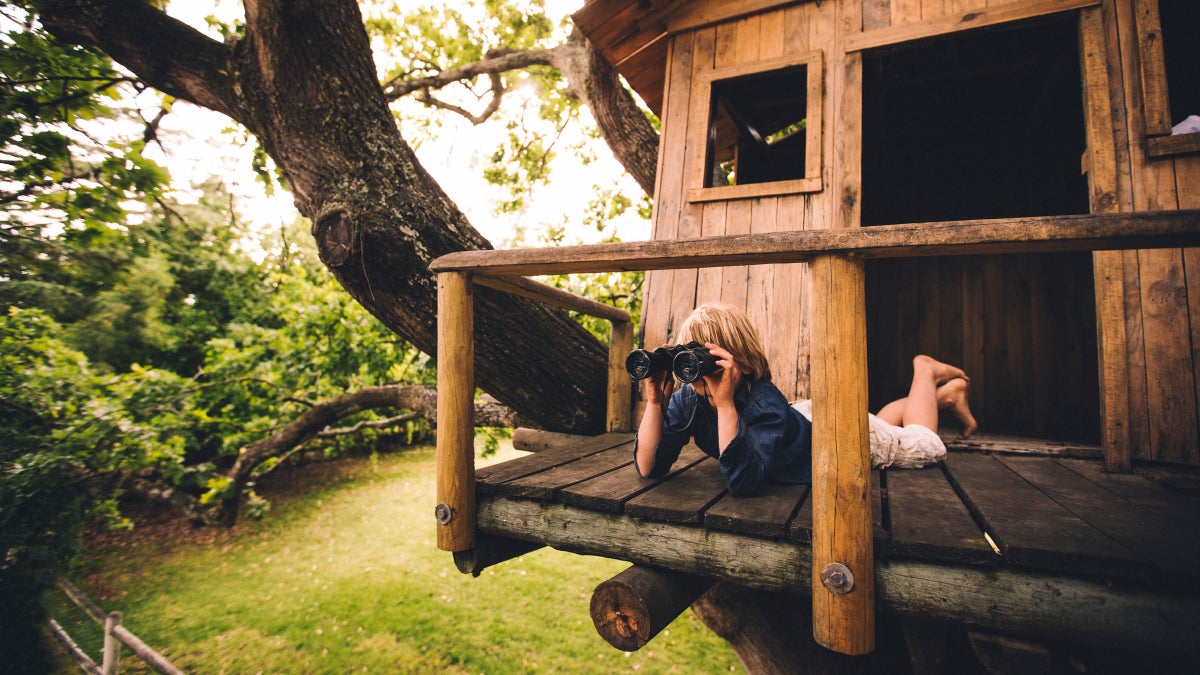 Build a Better Treehouse Without Hurting Yourself, Your Pride, or a Tree