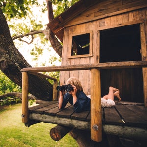 Break out the climbing gear and tree biology knowledge if you want to build a safe treehouse, safely.