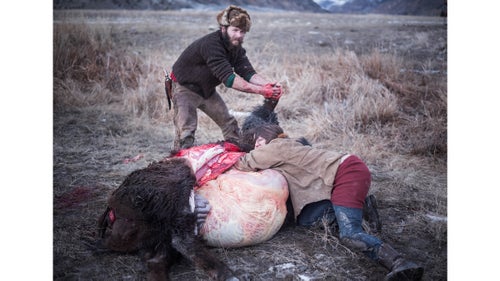 Often the animal is field dressed far from the road and members of Buffalo Bridge will help by carrying large pieces back to the Native American鈥檚 cars.