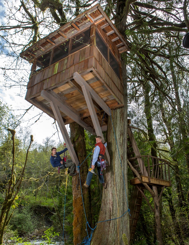 Build a Better Treehouse Without Hurting Yourself, Your Pride, or a Tree