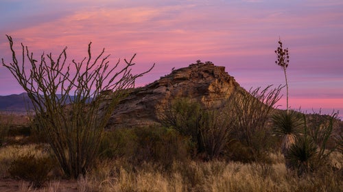 Terry Tempest Williams visits 12 parks over 12 chapters, and often looks at the threats to the land in each place.