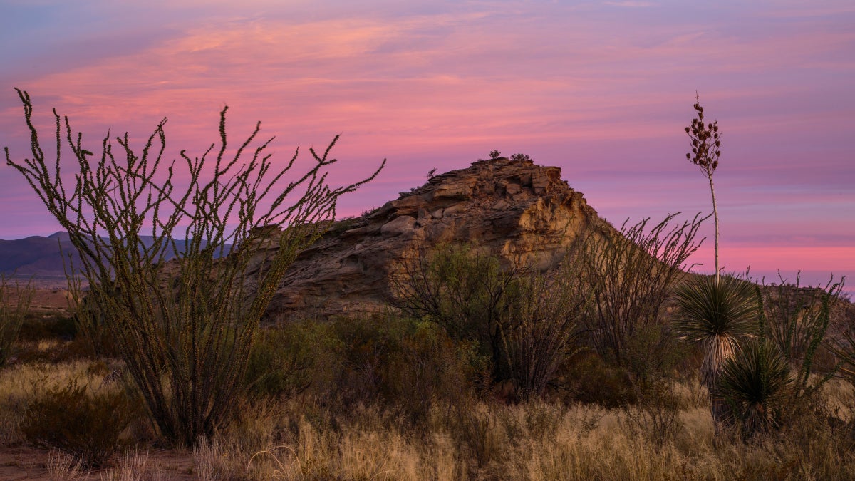 Terry Tempest Williams's Dark Love Letter to the National Parks