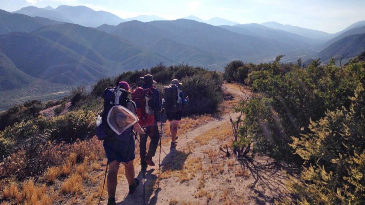 What Are All These Hikers Doing to the PCT?