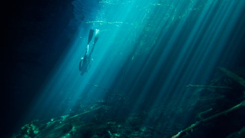 During a weeklong trip to Mexico last March, Thymann, who lives in London, drove half an hour north of Tulum to explore a few of the water-filled sinkholes鈥攃alled denotes鈥搕hat dot the Yucat谩n Peninsula. 鈥淭his one was really beautiful, and since it鈥檚 so difficult to find, few people make the effort to visit it,鈥 Thymann says, describing the subterranean water where he captured freediver Jorge Robles Brain. 鈥淭hat stark curtain of light ends and makes it look like he鈥檚 reaching bottom. But really his journey has just started.鈥
THE TOOLS: Canon Mark III, 17-4006 f/4 lens, ISO 800, f/5, 1/50 second