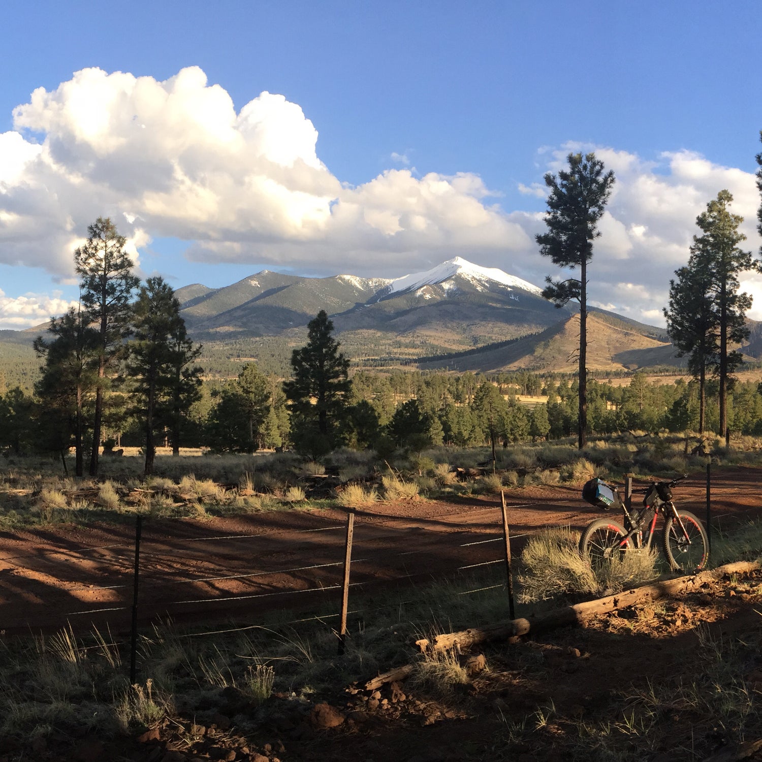 The views didn't suck on the AZT.