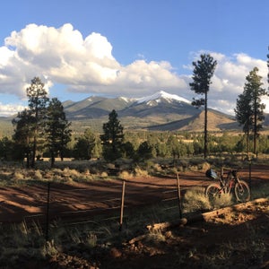 The views didn't suck on the AZT.