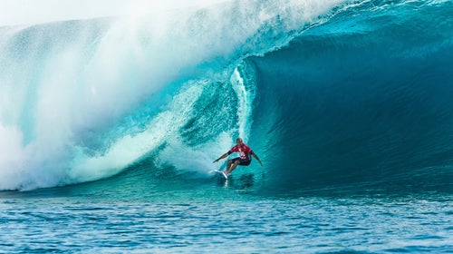 Surfers have become a valuable asset for what is known as “wave knowledge,” the collective wisdom of people who live their lives on the water.