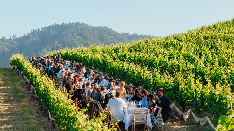 Can't beat dinner in a vineyard.